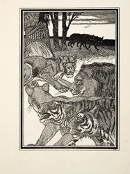 Wdzięczna lwica, z „Stu anegdot zwierząt”, wyd. 1924 (grawerowanie)