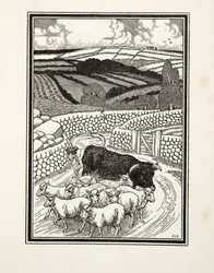 Idąc na targ, od Sto anegdot zwierząt, wyd. 1924