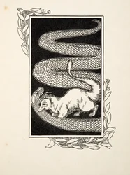 Niszczyciele węży, z „Stu anegdot zwierząt”, wyd. 1924 (grawerowanie)