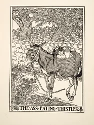 Osioł jedzący osty, z Stu bajek Ezopa, wyd. 1903