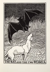 Nietoperz i dwie łasice, z Baśni Fontaine
