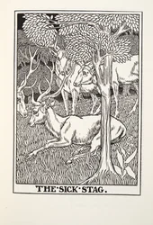 The Sick Stag, z Fontaine Fables, wyd. 1905