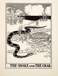 Wąż i krab, z Stu bajek Ezopa, opublikowano 1903