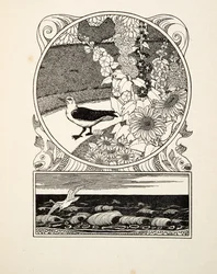 Oswojona mewa, z „Stu anegdot zwierząt”, wyd. 1924 (grawerowanie)