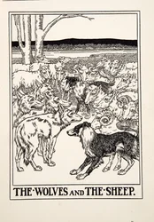 Wilki i owce, z Stu bajek Ezopa, wyd. 1903 (rycina)