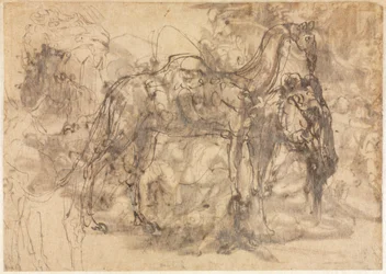 Szkice zwierząt verso, c. 154547.