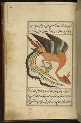 Dodaj MS 15241 f.64r The simurgh, irański ptak gromowładny, z kolekcji rarytasów „Majma” Al-ghara’ib”. Sułtan Muhammad Balkhi