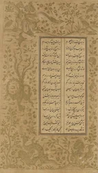 Projekt winorośli i ptaka, folio z Yusuf u-Zulaikha autorstwa Jami (zm. 1492) Qazvin, Iran, dynastia Safawidów, 1557 (atrament i złoto na papierze)