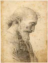 Popiersie mężczyzny, 1500-1503.
