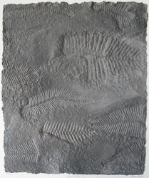 Znaki życia XVI