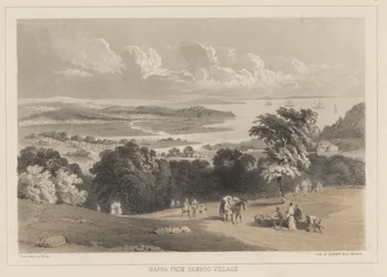 Napha from Bamboo Village, litografia Sarony und Co., 1855 (chromolitografia)