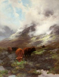 Głowa Glen, 1894