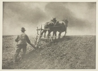 Sztywne pociągnięcie (Suffolk)