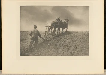 Sztywne pociągnięcie. [Suffolk].