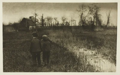 Ropucha na drodze: wczesna wiosna w Norfolk