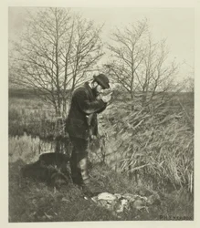 W ukrytym kącie (Norfolk)