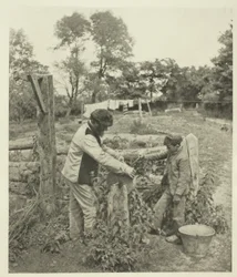 Na farmie Grindstone-A w Suffolk