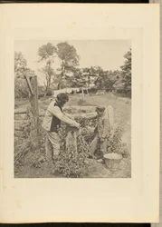 W Grindstone - gospodarstwo rolne w Suffolk