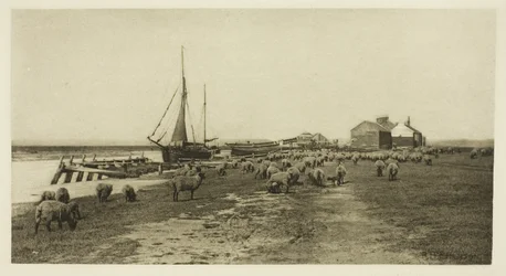 Czarny Brzeg, Rzeka Blythe (Suffolk)