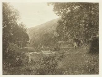 W Dove Dale