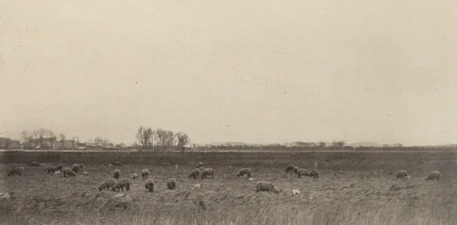 Bagna nad Morzem Północnym