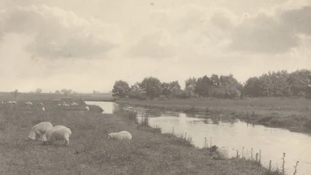 Na rzece Bure, 1886.