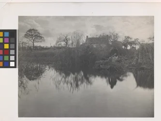 Quanting The Gladdon (platynowy nadruk na oryginalnym uchwycie)