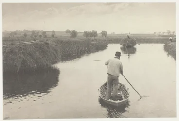 Kwantyzacja siana bagiennego