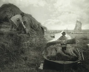 Ricking the Reed, ok.1885 (odbitka platynowa)
