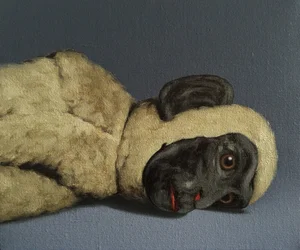 Martwa natura małpy, 2016