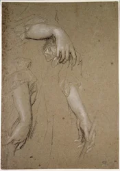 Studia dłoni, XVII w. (kreda na papierze)