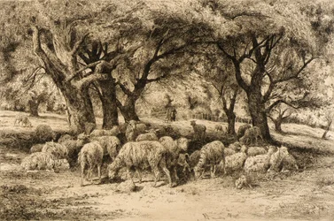 (A New England Orchard)