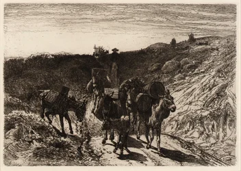 Burro Train, Nowy Meksyk