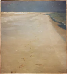 Południowa plaża Skagen