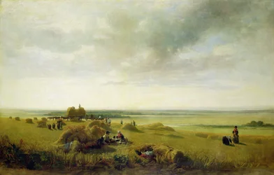 Pole kukurydzy
