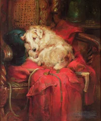 Zmęczenie