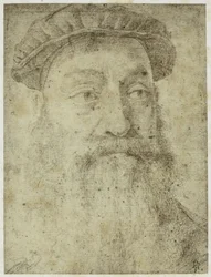 Zdjęcie z „Studium do portretu Stefano Colonny” Bronzino