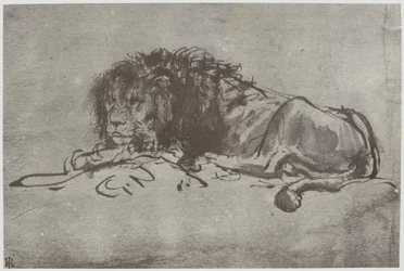 Rembrandt, Lew