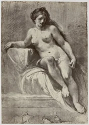 Zuccarelli, studium