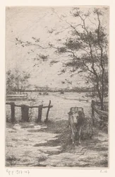 Dojenie krowy na łące