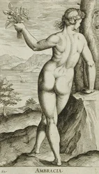 Ambrakia