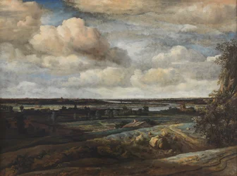 Holenderski krajobraz panoramiczny z odległym widokiem na Haarlem