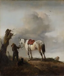 Siwy koń, ok. 1646