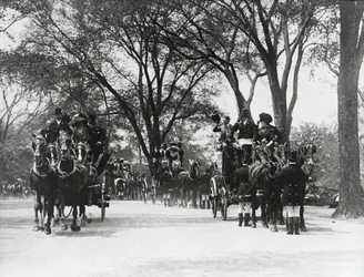 Coaching, Central Park (zdjęcie czarno-białe)