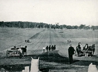Nauka siewu siewnikiem i wałowania w Dookie Agricultural College w stanie Wiktoria, około 1900 roku, z publikacji „Pod Krzyżem Południa - Migawki z Australii”, wydanej przez Department of External Affairs w Melbourne