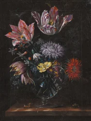Autor nieznany, Jacob Marrel