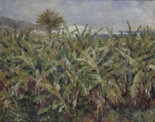 Pole bananowców Champ de bananiers, 1881