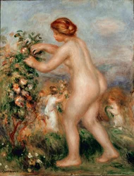 Oda do kwiatów. Naga kobieta ceuillating róże ma drzewo różane. Obraz Pierre Auguste Renoir (Pierre-Auguste