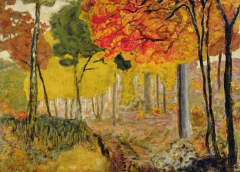 Łapy w zaroślach, ok. 1900