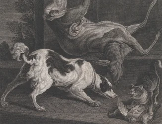 Psy i martwa natura, 1778